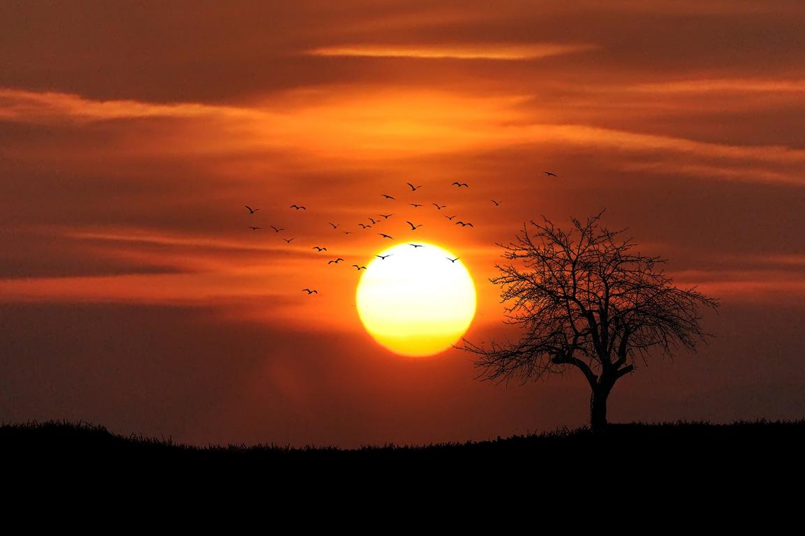 Sonne