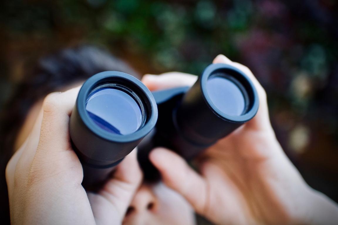 Spion