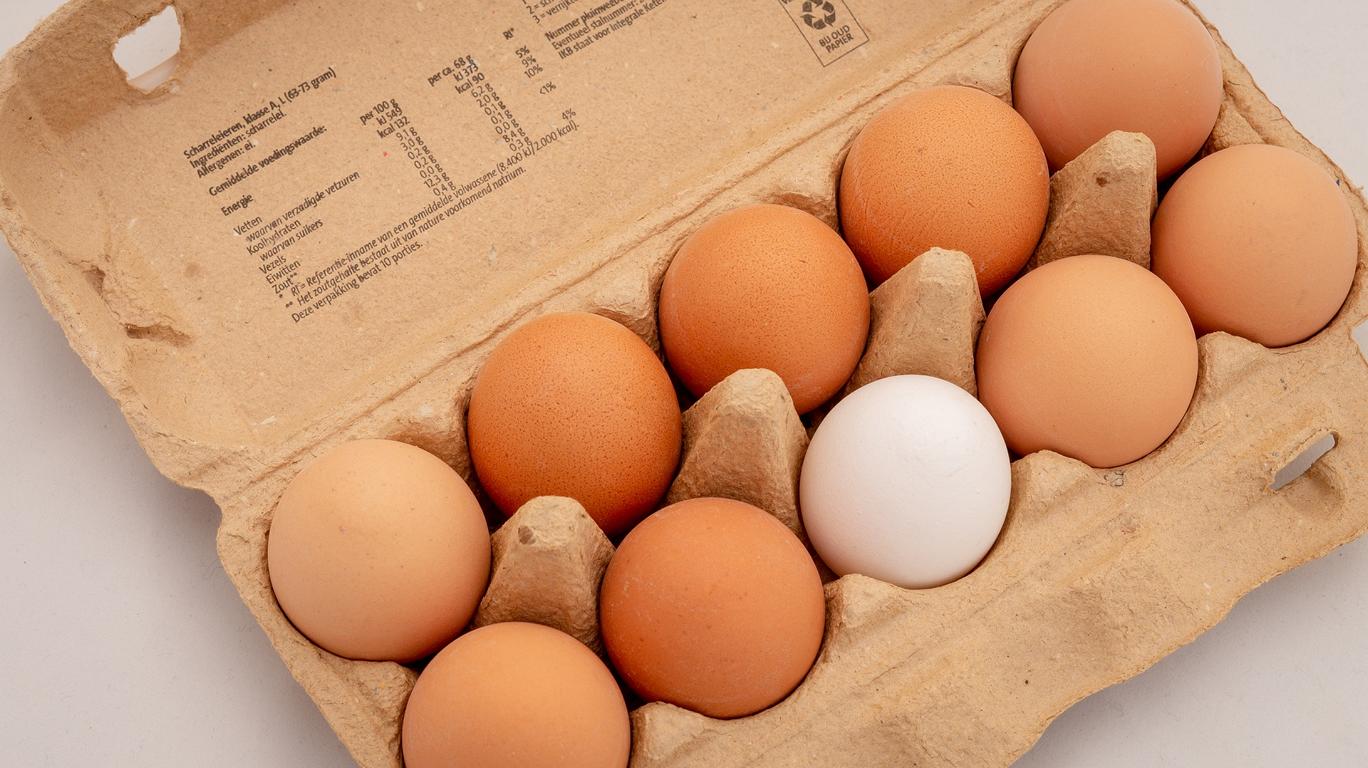 Rassisten