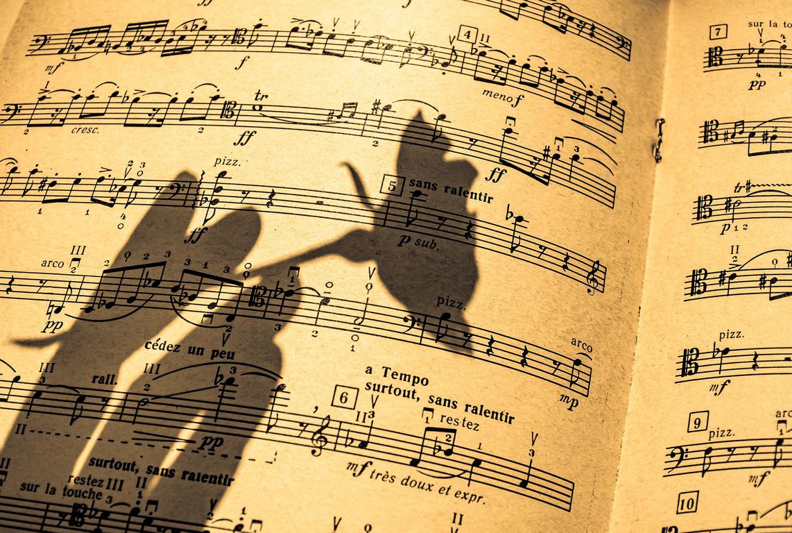 Meine Lieder
