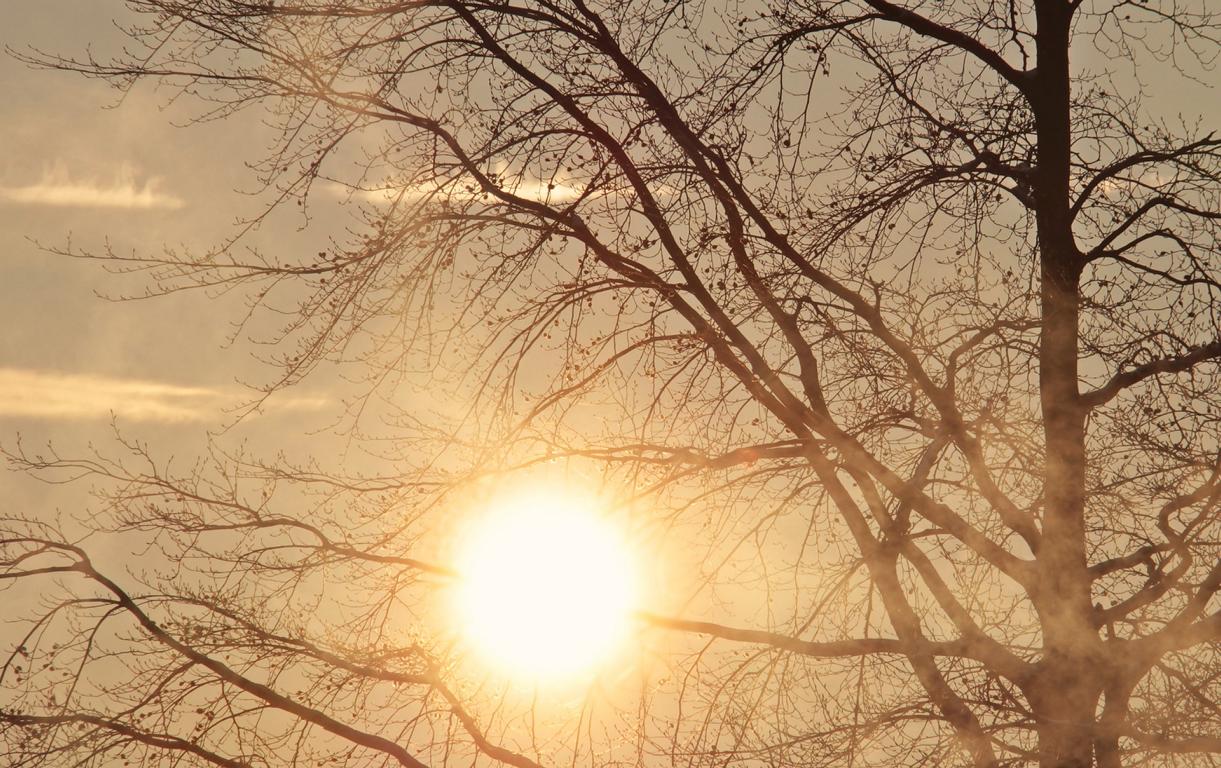 Morgenstimmung