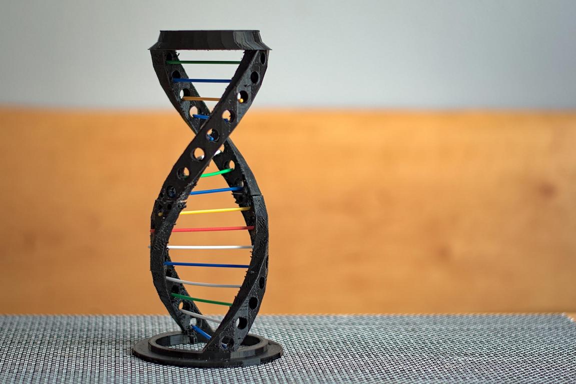 Gene