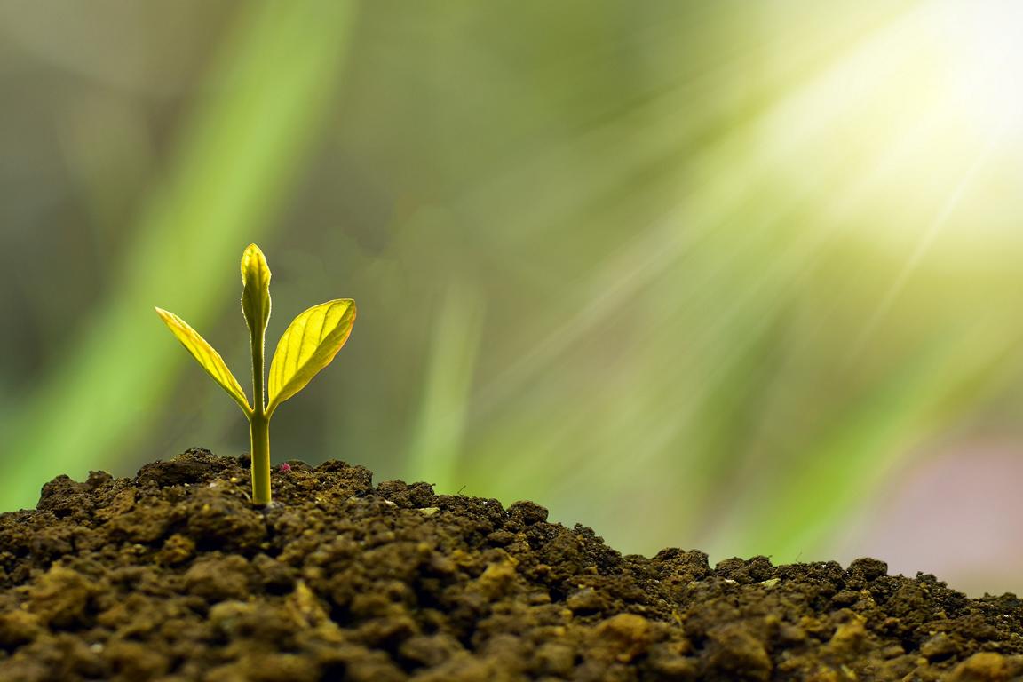 Go grow