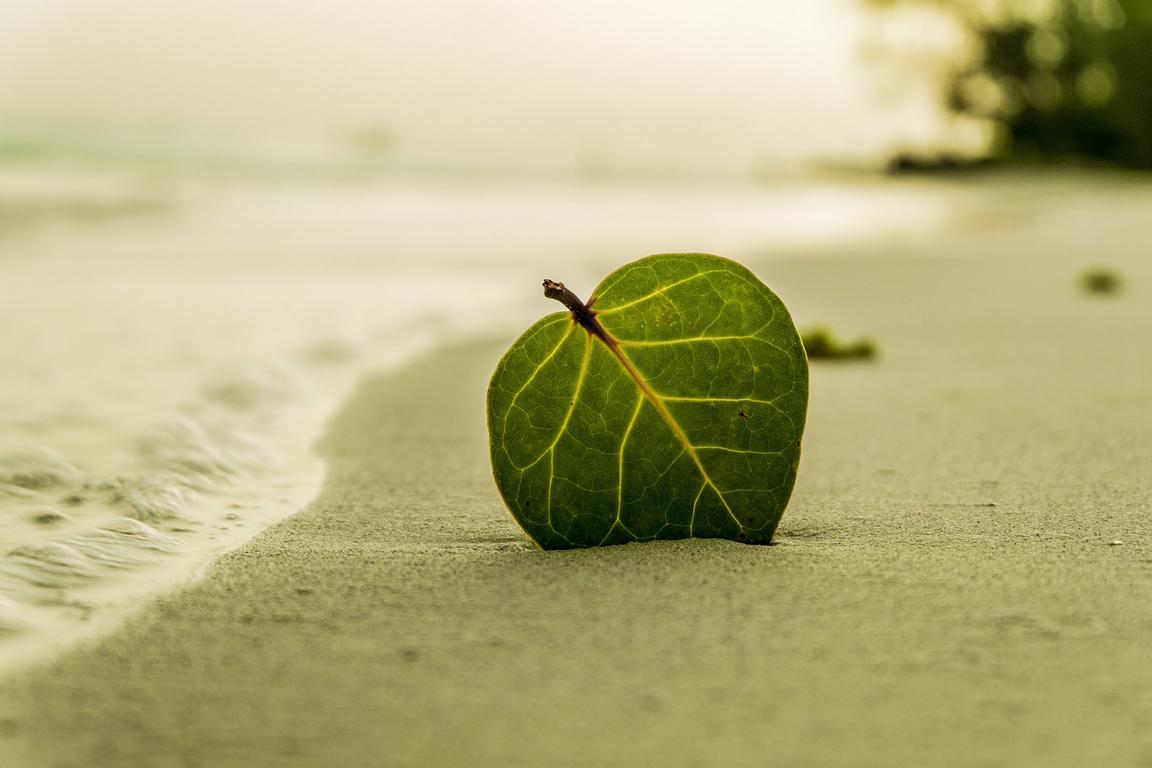 Mehr Meer
