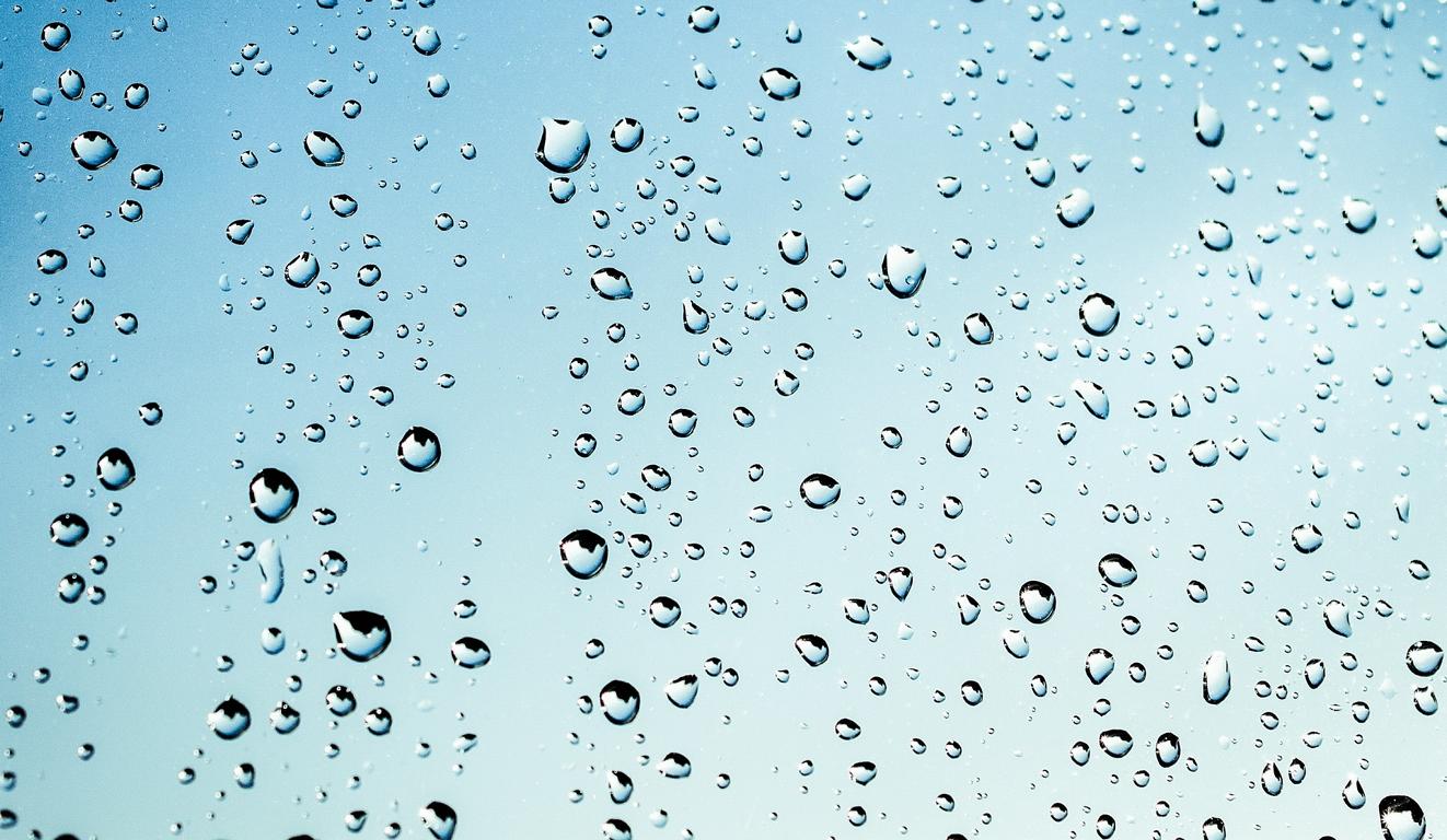 Schwimm bei Regen