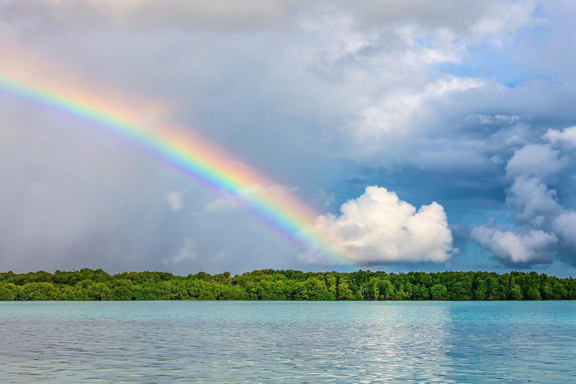 Regenbogen