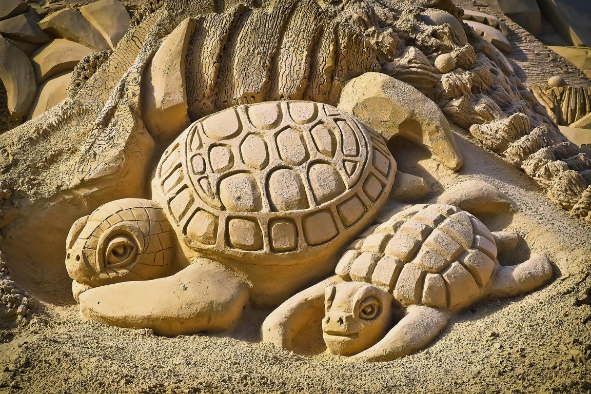 Die Schildkröte