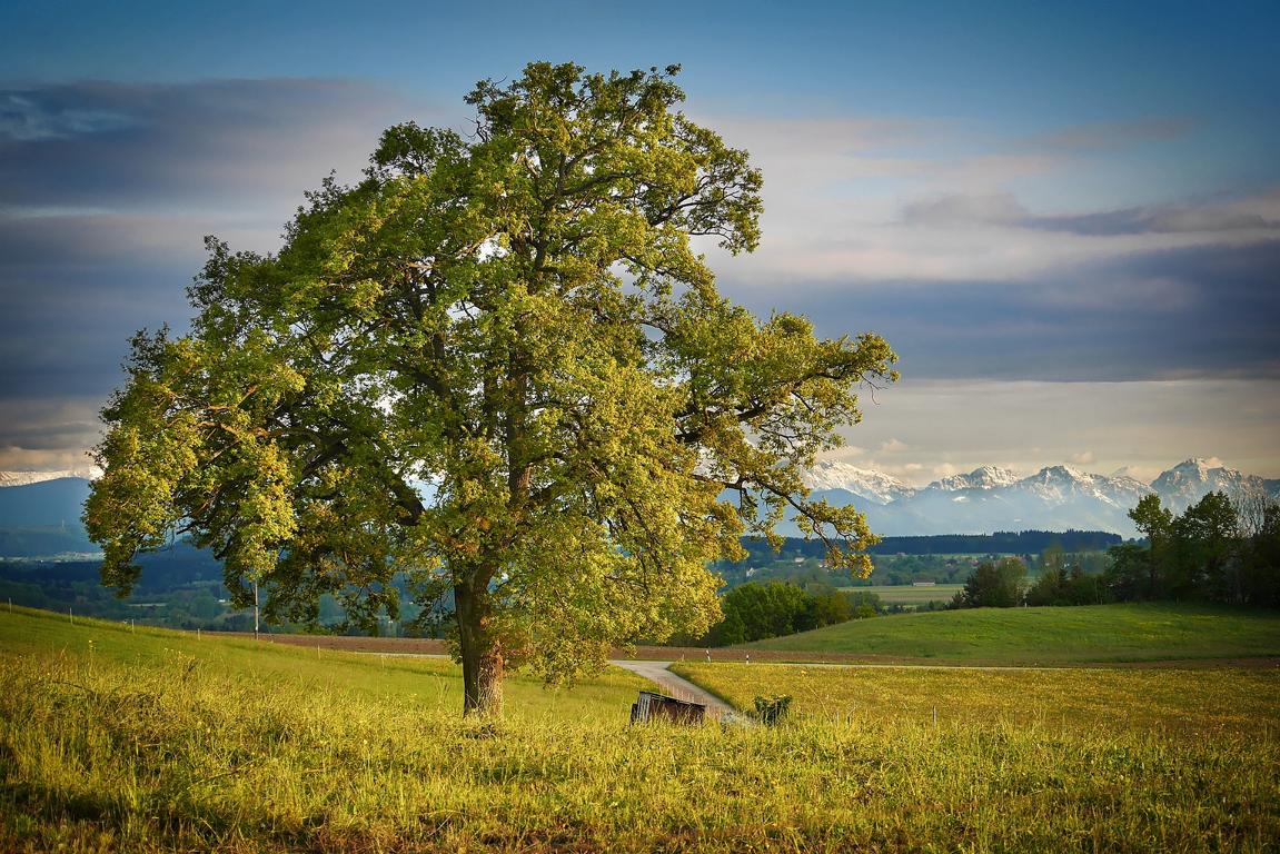 Idylle