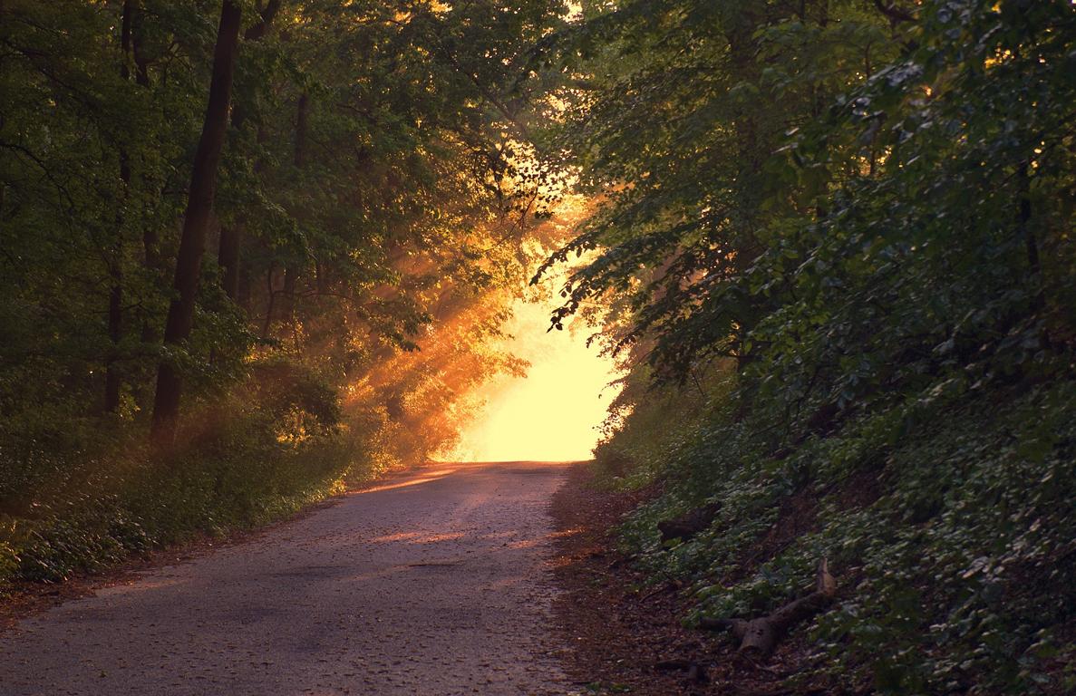 Steht im Weg