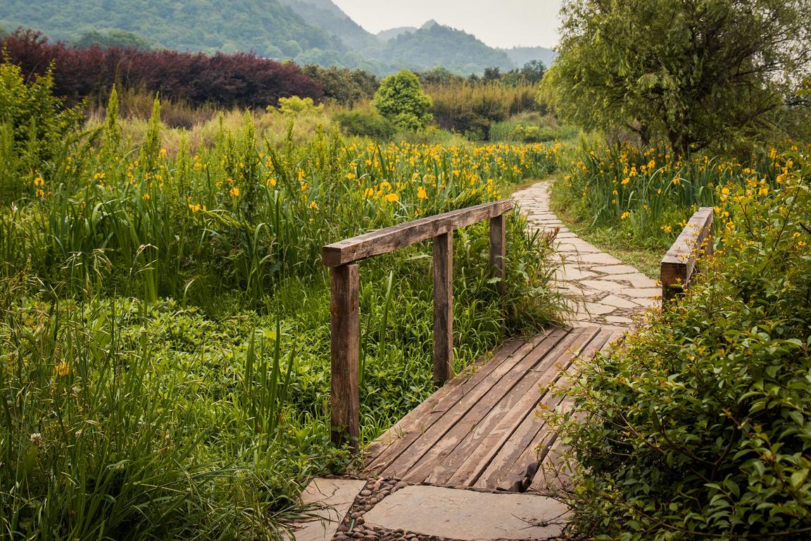 Der Weg