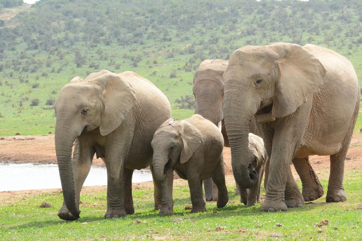 BigFive