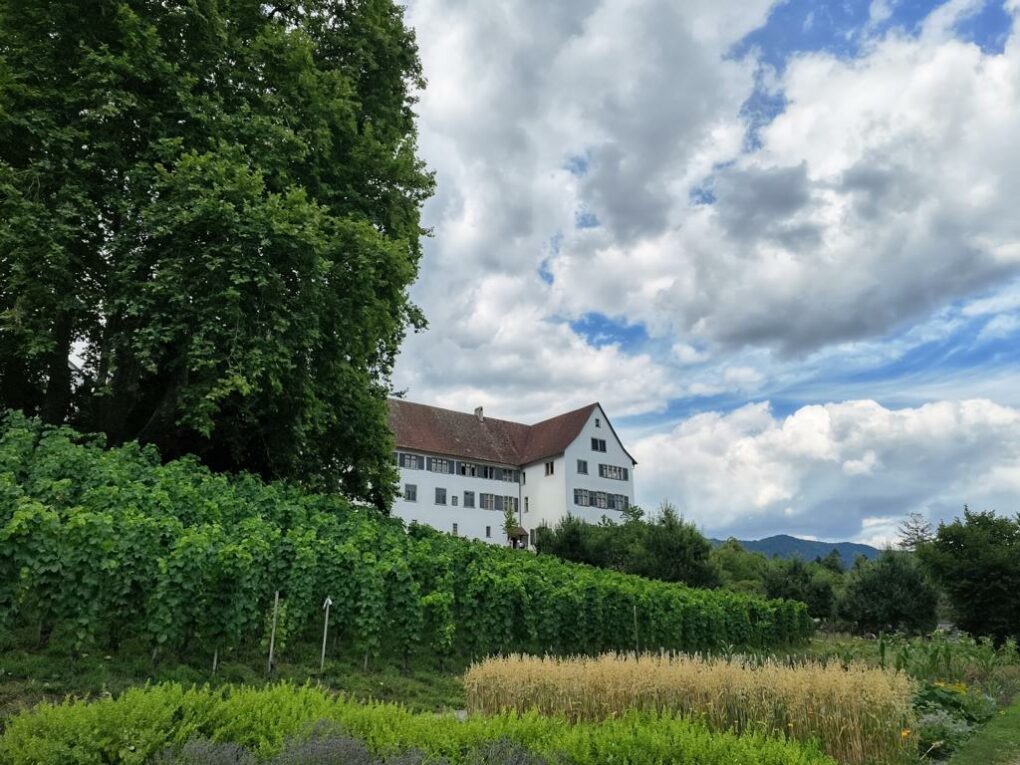 Wolkenbilder